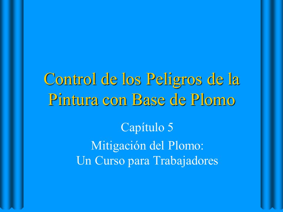 ¿Hay músculos en la parte baja de la espalda?
